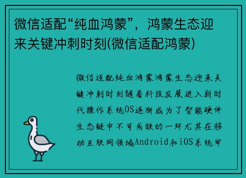 微信适配“纯血鸿蒙”，鸿蒙生态迎来关键冲刺时刻(微信适配鸿蒙)