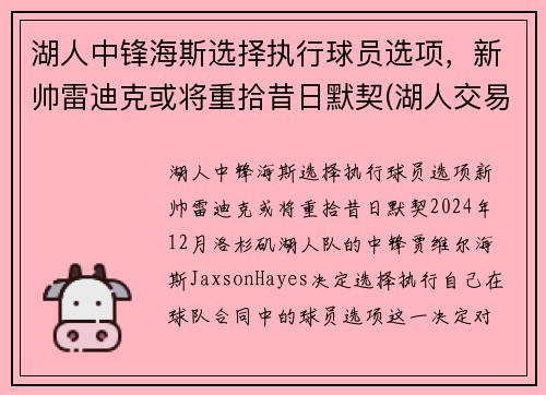 湖人中锋海斯选择执行球员选项，新帅雷迪克或将重拾昔日默契(湖人交易雷迪克)